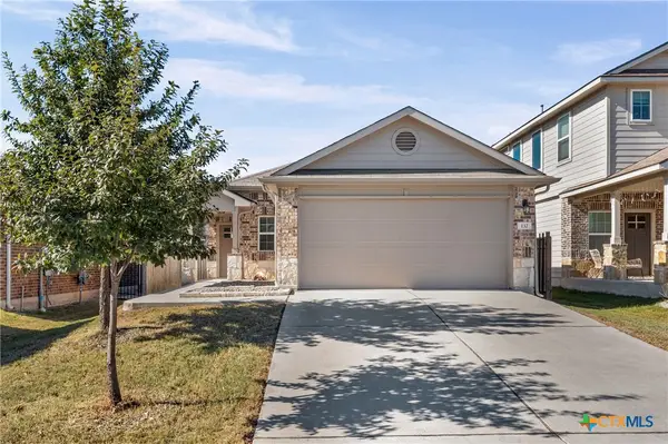 132 Dunlin Lane, Leander, TX 78641