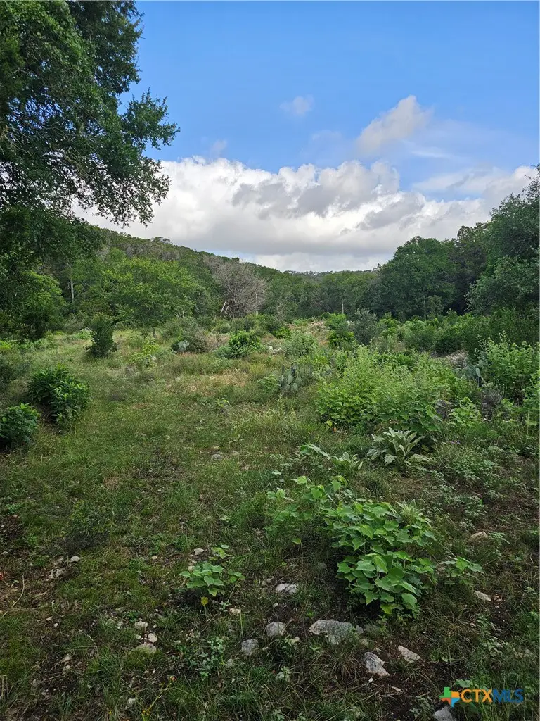 0 Happy Hollow, New Braunfels, TX 78132 - #3