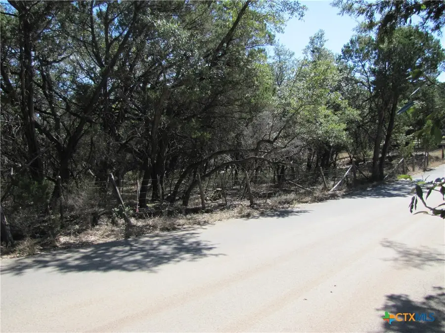 678 Cannan Road, Canyon Lake, TX 78133 - #2