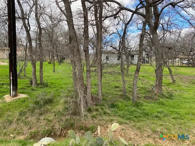 TBD E Hickory Drive, Granite Shoals, TX 78654 - #2