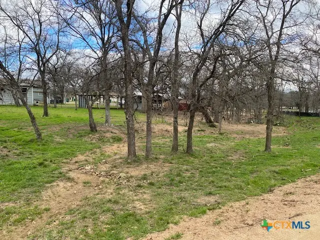 TBD E Hickory Drive, Granite Shoals, TX 78654 - #3