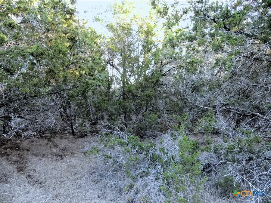 39 Serenade Circle, Wimberley, TX 78676 - #3