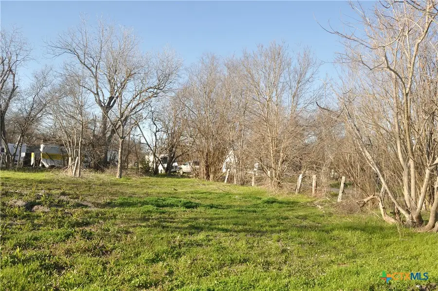 612 Criswell Street, Mart, TX 76664 - #2