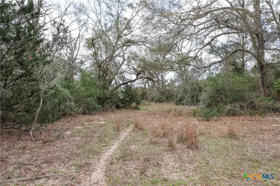 TBD Cr 132, Hallettsville, TX 77964 - #3