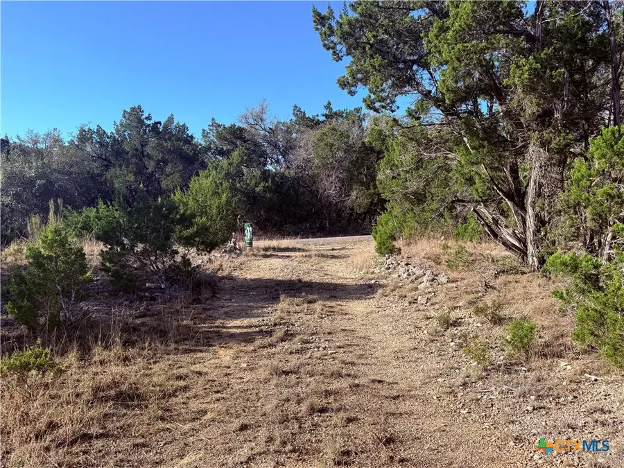 3600 Stagecoach Ranch Loop, Dripping Springs, TX 78620 - #2