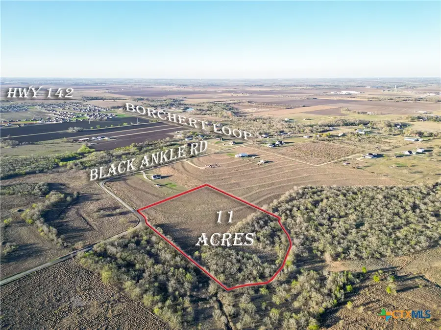 495 Black Ankle Road, Lockhart, TX 78644 - #2