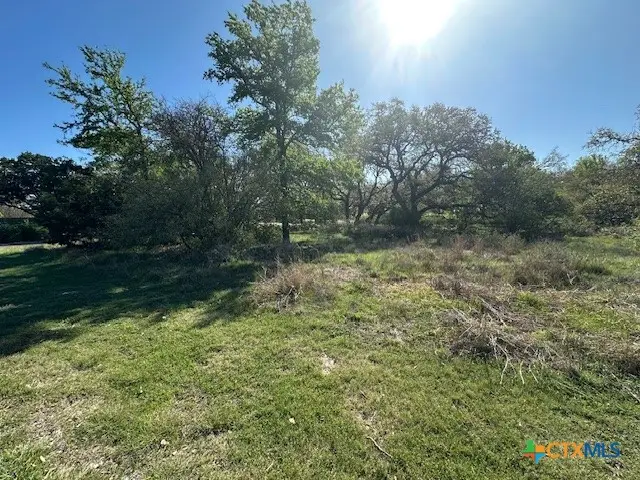 11 Cheyenne Trail, Belton, TX 76513 - #2