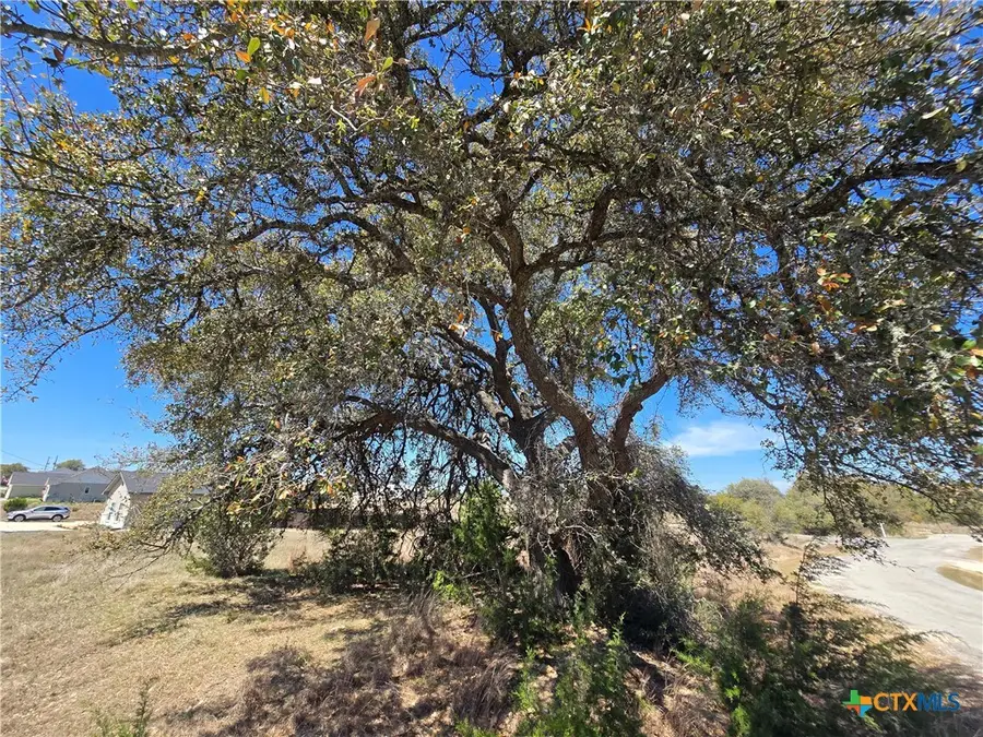 0 Hiram Cook, Blanco, TX 78606 - #3