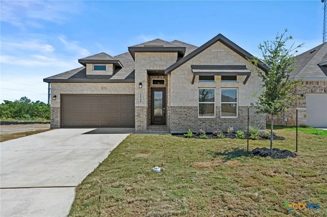 5540 Paschal Park, New Braunfels, TX 78132 - #1