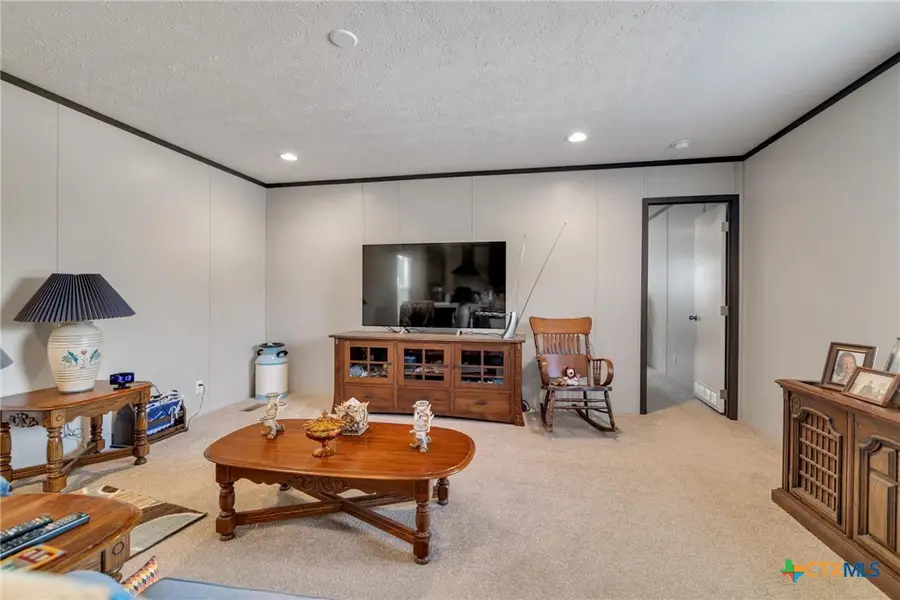 441 Private Road 1065, Hallettsville, TX 77964 - #3