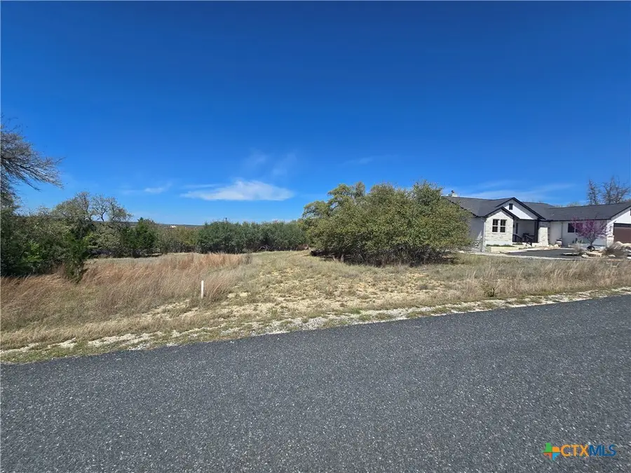 237 Roy Nichols Drive, Blanco, TX 78606 - #3