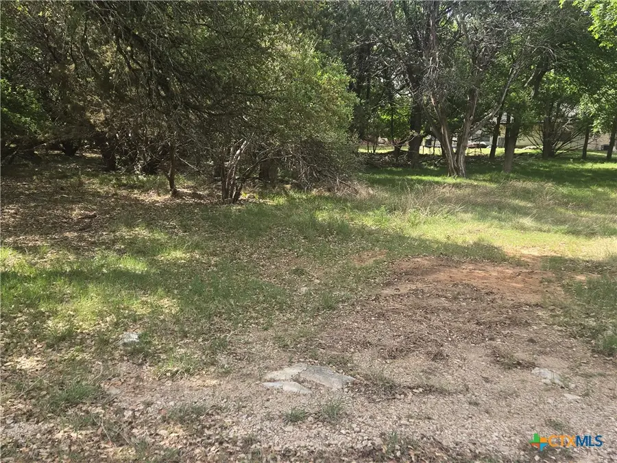 6 Hackberry Court, Belton, TX 76513 - #2