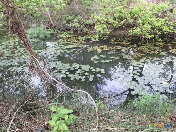 474 N Guenther Avenue, New Braunfels, TX 78130