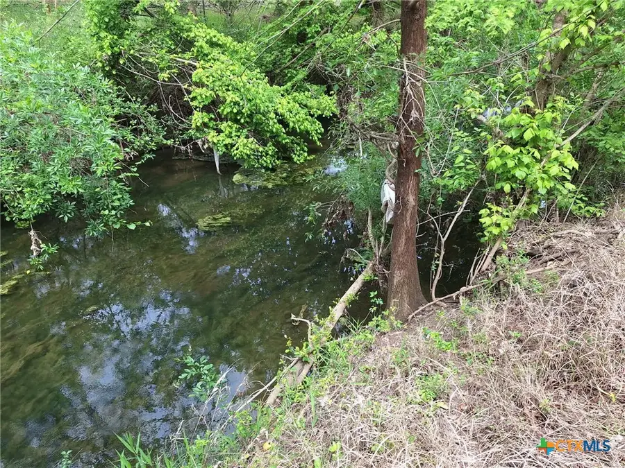 474 N Guenther Avenue, New Braunfels, TX 78130 - #2