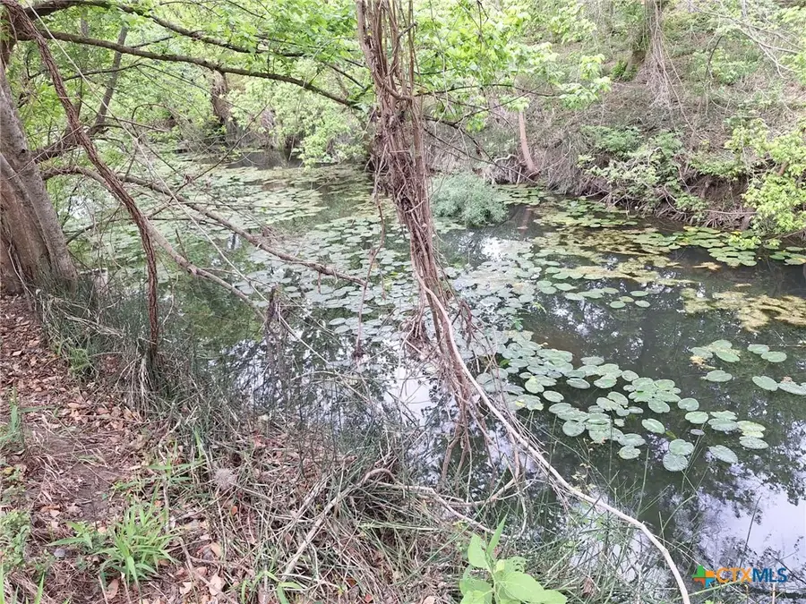 474 N Guenther Avenue, New Braunfels, TX 78130 - #3