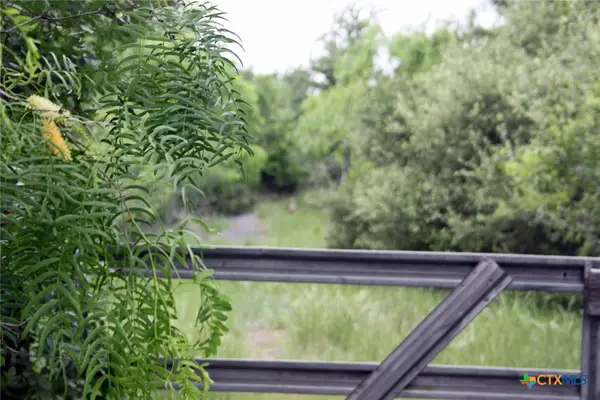 7887 Pettytown Road, Red Rock, TX 78662