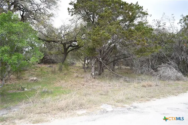 1361 Hidden Valley Drive, Spring Branch, TX 78070
