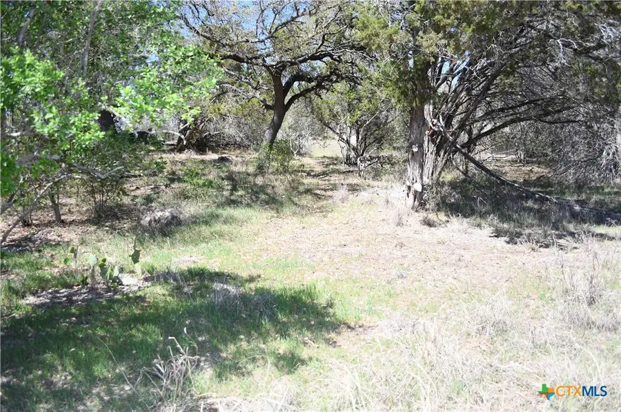 1361 Hidden Valley Drive, Spring Branch, TX 78070 - #3