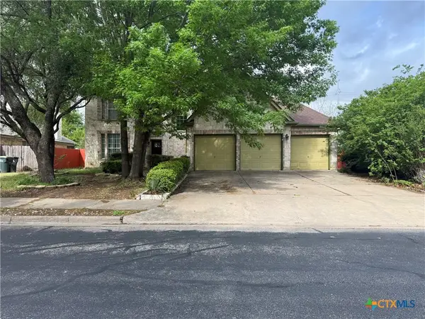 310 N Carriage Hills Drive, Georgetown, TX 78626