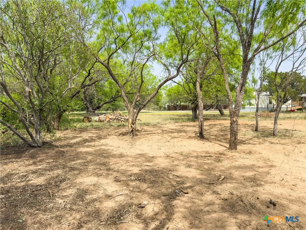 296 Seneca Drive, Burnet, TX 78611 - #1