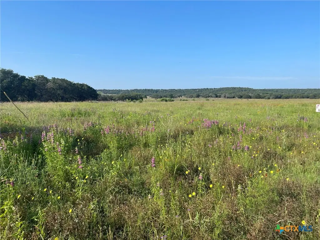 Lot 11 Fm 1690, Gatesville, TX 76528 - #1