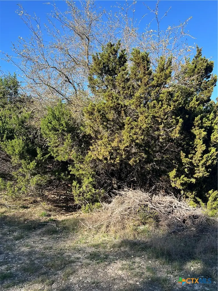 440 Canyon Edge, Canyon Lake, TX 78133 - #3