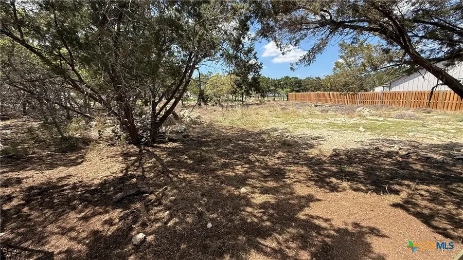 1024 Greenbriar Drive, Canyon Lake, TX 78133 - #2