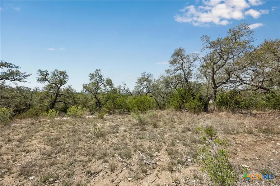 1078 Madrone Road, Fischer, TX 78623 - #3