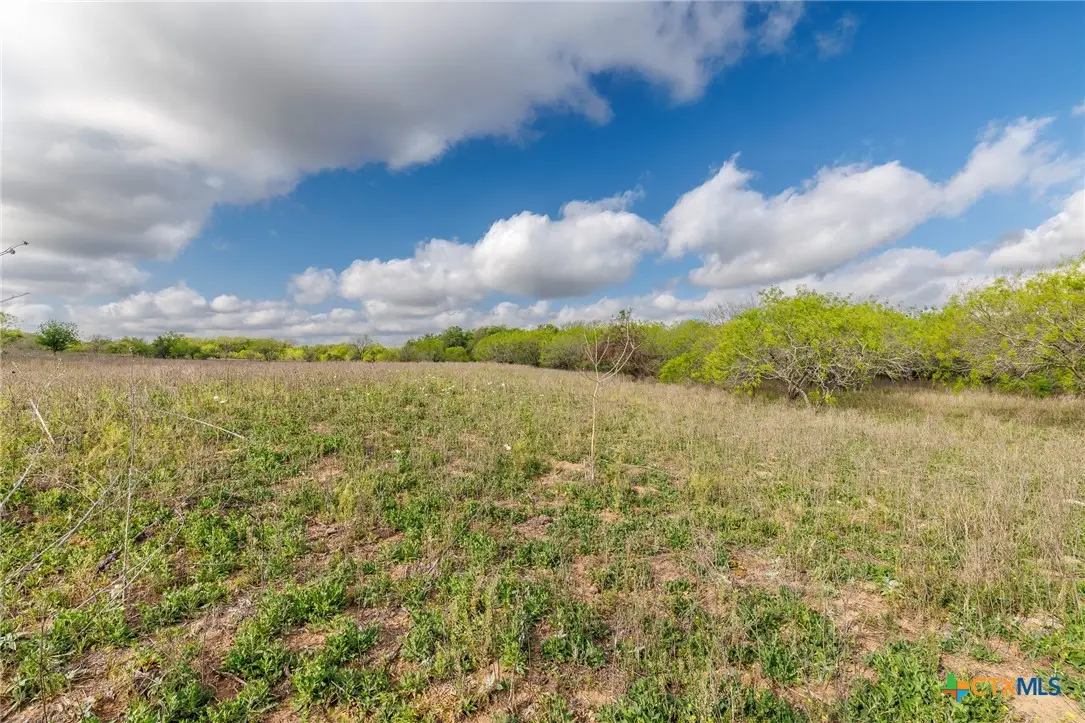 TBD Fm 1681, Nixon, TX 78140 - #1