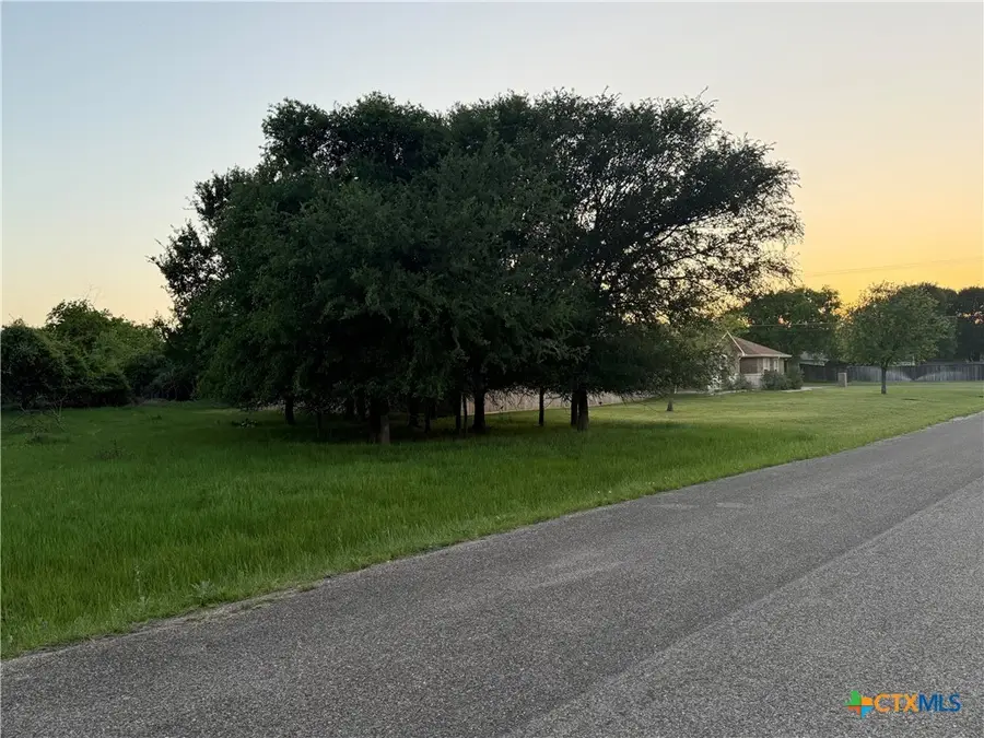 6 Blue Roan Drive, Morgans Point Resort, TX 78163 - #3