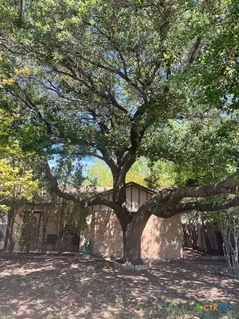 3407 Imperial Drive, Gatesville, TX 76528 - #3