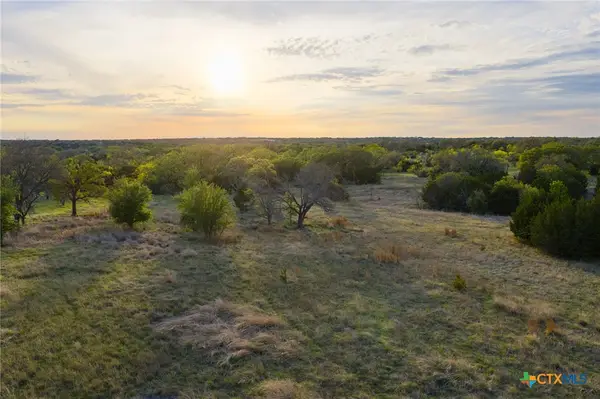 405 Blackjack Oak Drive, Goldthwaite, TX 76844