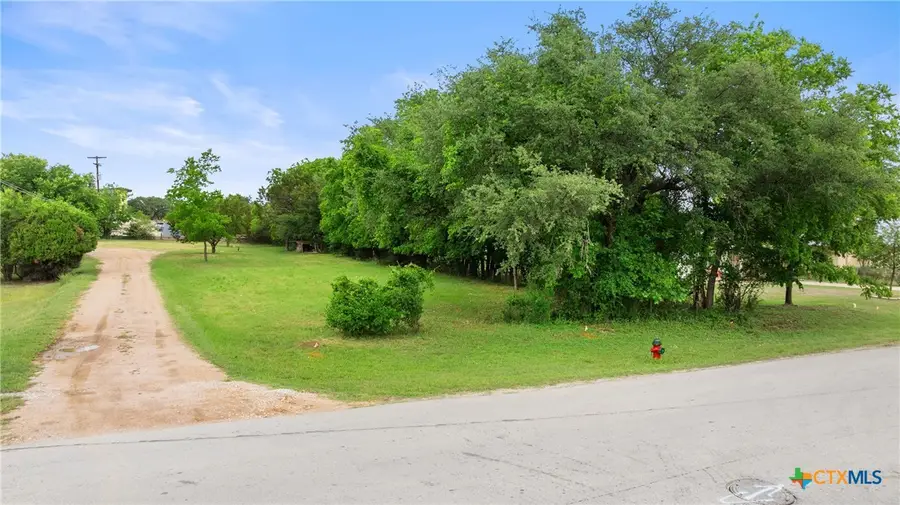 306 W Pecan Drive, Johnson City, TX 78636 - #3