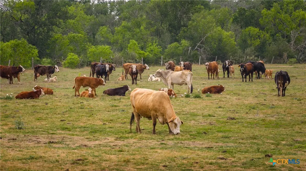 000 Fm 77, Nixon, TX 78140 - #1