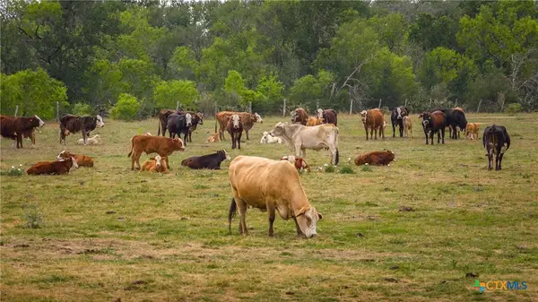 000 Fm 77, Nixon, TX 78140