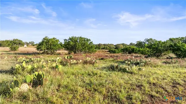 Lot 3 Vista Ridge Dr, Round Mountain, TX 78663