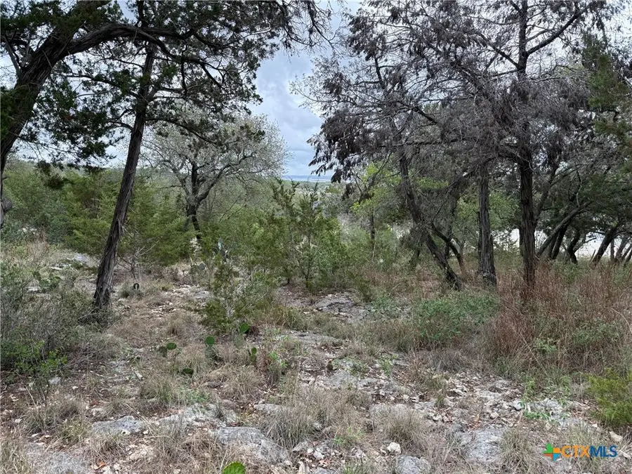 1113 Keystone, Canyon Lake, TX 78133 - #2