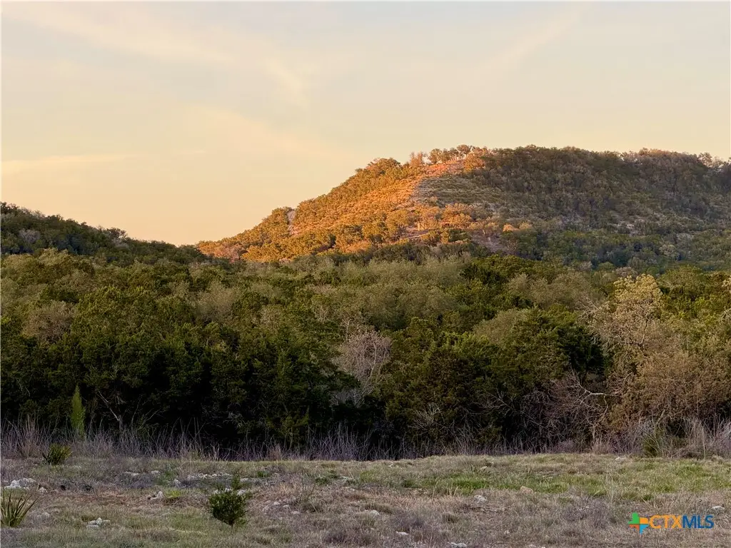 869 Flaman Road, Canyon Lake, TX 78133 - #1