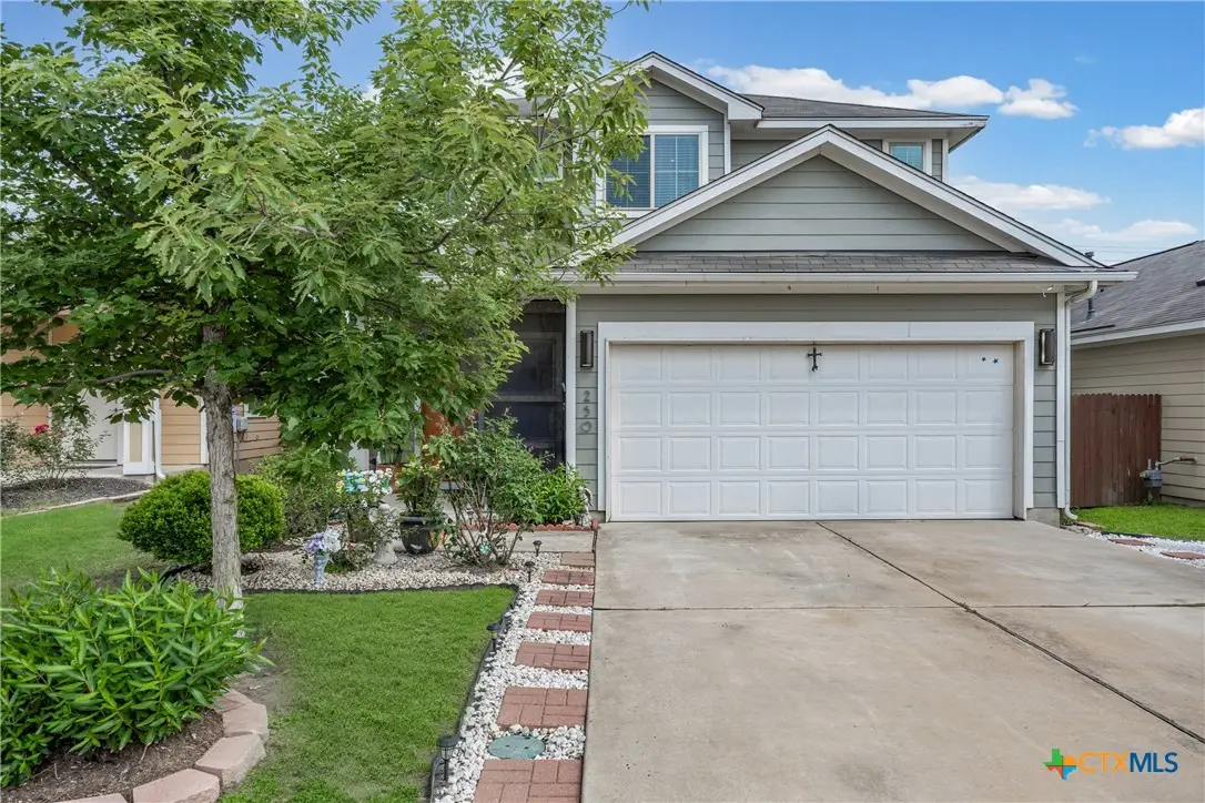 250 Twisted Oaks Lane, Buda, TX 78610 - #1
