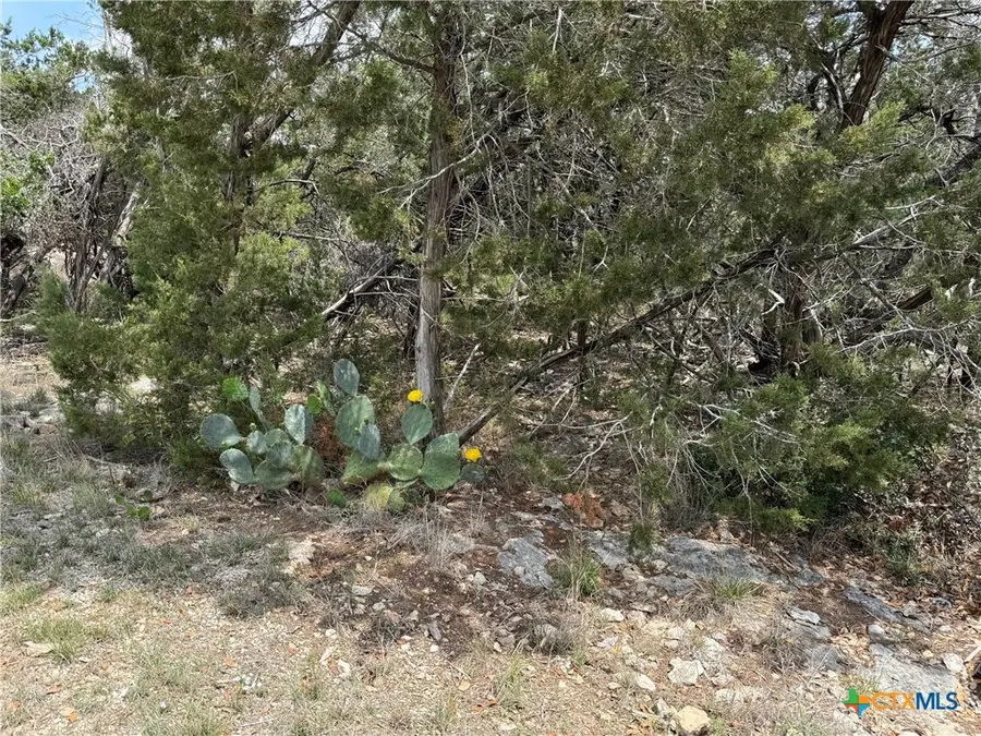 1099 Keystone, Canyon Lake, TX 78133 - #2