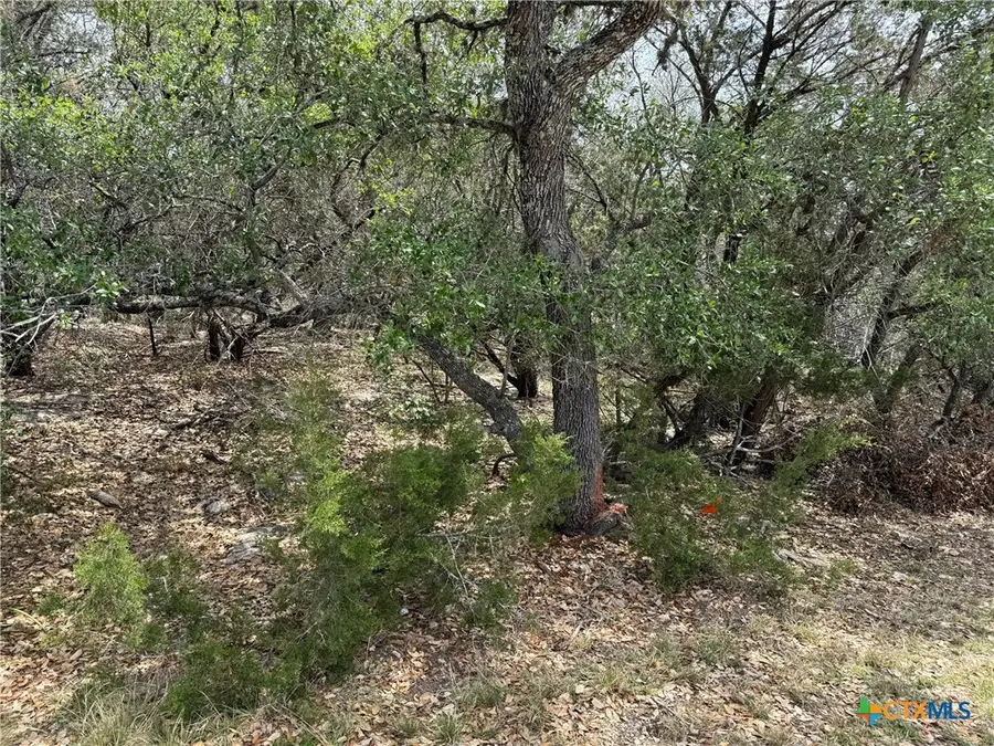 1099 Keystone, Canyon Lake, TX 78133 - #3