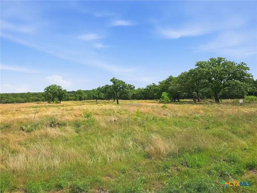 Lot 73 & 74 Ph 6 Pr 42103, Evant, TX 76525 - #3