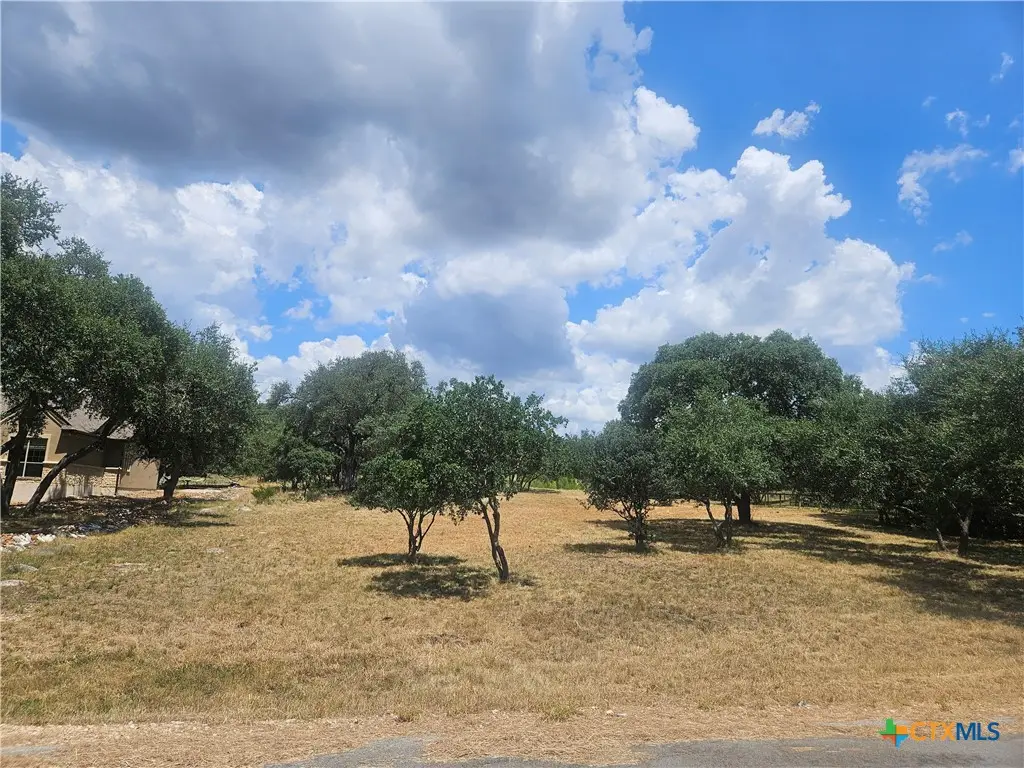 263 Paradise Hills, New Braunfels, TX 78132 - #1