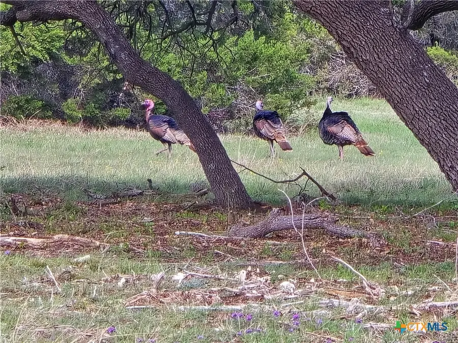 000 Cr 206, Lampasas, TX 76550 - #3