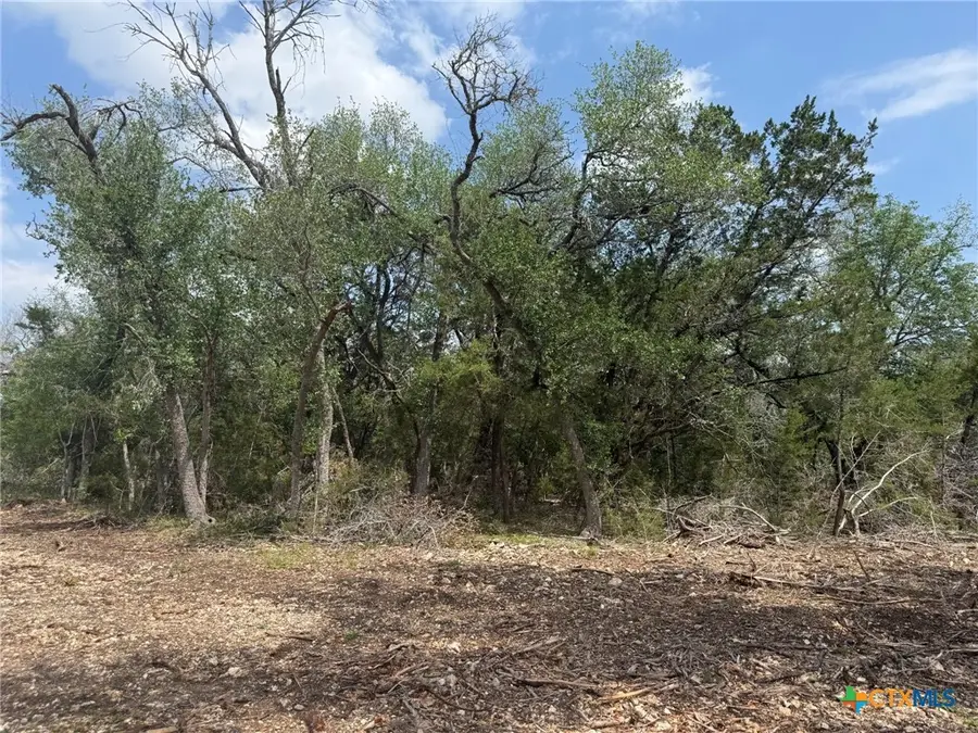 TBD Lot 22 Ironwood Ridge, Salado, TX 76571 - #3