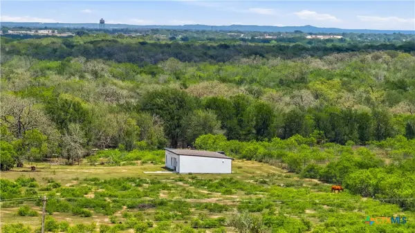 950 Highsmith Road, Luling, TX 78648