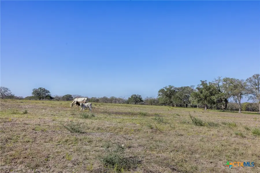 Tract J Fm 795, Gonzales, TX 78629 - #3