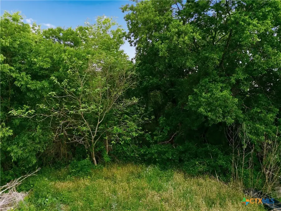 1.02+/- Acres Belton Avenue, Chilton, TX 76632 - #2