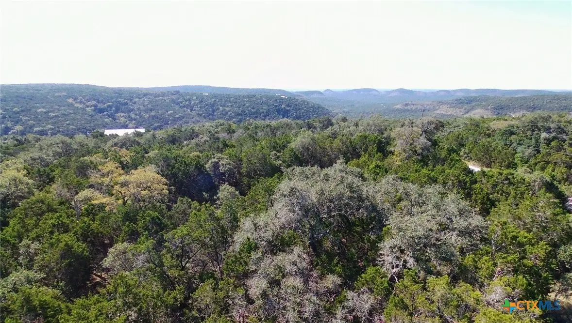 1031 The Low Road, San Marcos, TX 78666 - #1