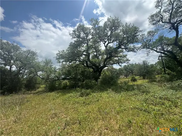 511 Richter Road, Inez, TX 77968